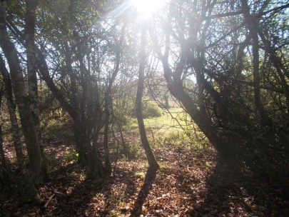 Hidden place